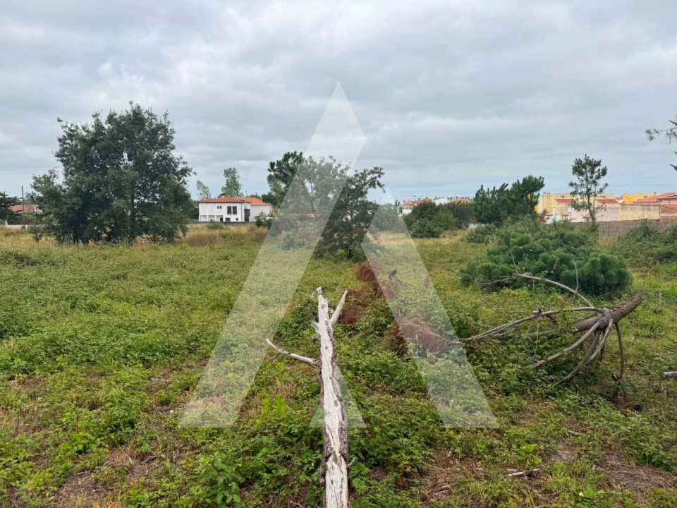 Terreno para Venda em Marinha Grande Foto 8
