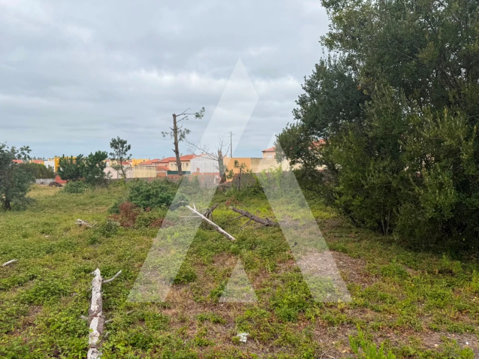 Terreno para Venda em Marinha Grande Foto 2