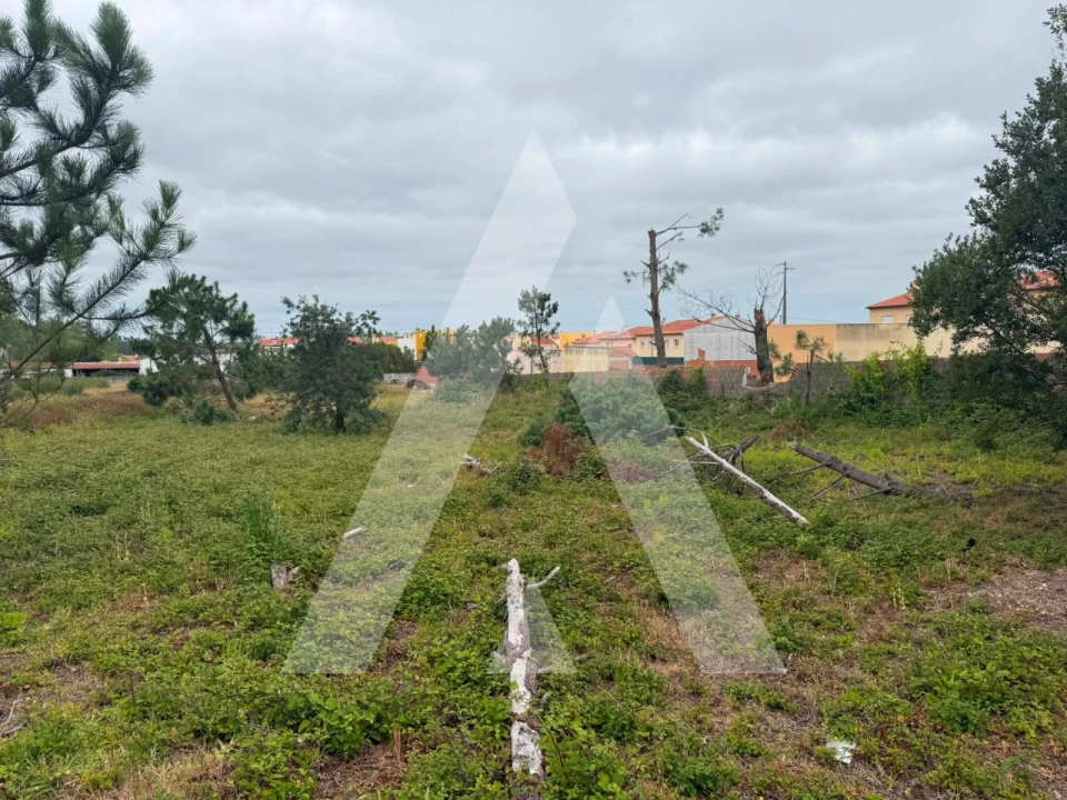 Terreno para Venda em Marinha Grande Foto 9