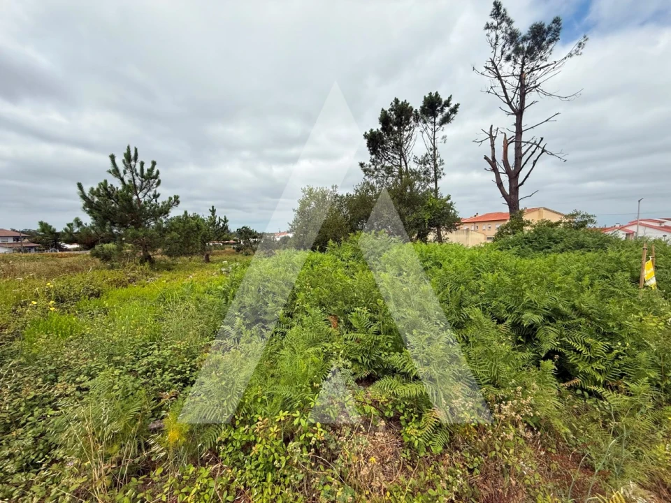 Terreno para Venda em Marinha Grande Foto 12