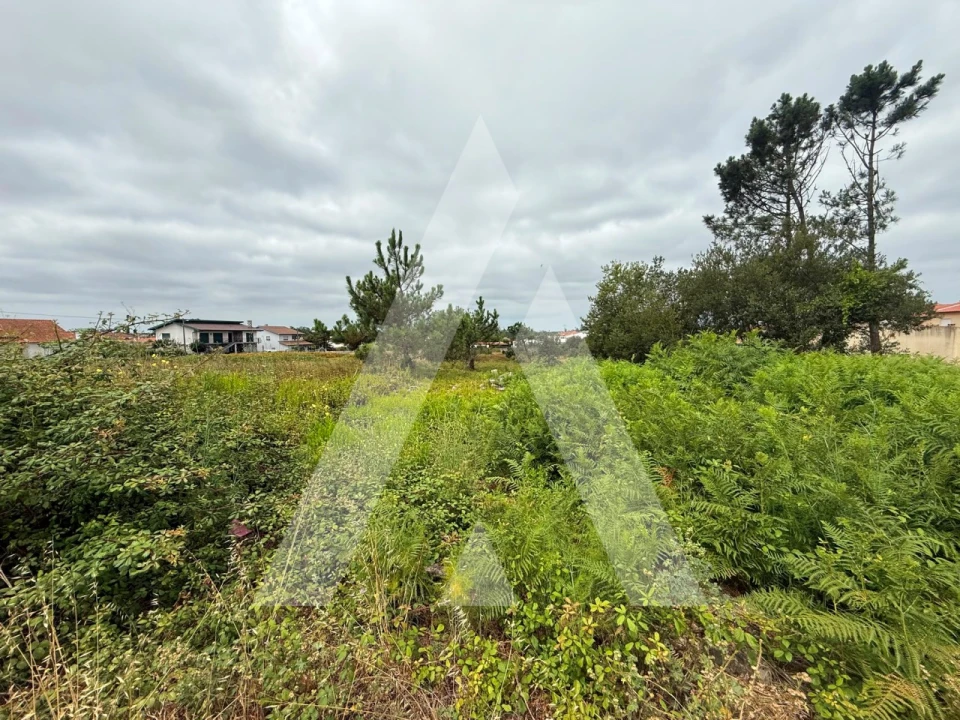 Terreno para Venda em Marinha Grande Foto 14