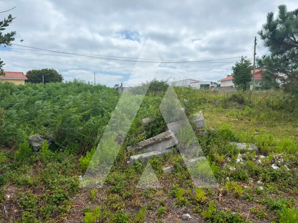 Terreno para Venda em Marinha Grande Foto 15