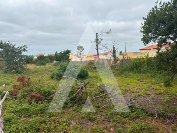 Terreno para Venda em Marinha Grande
