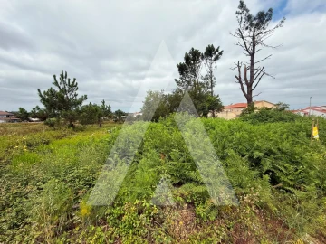 Terreno para Venda em Marinha Grande