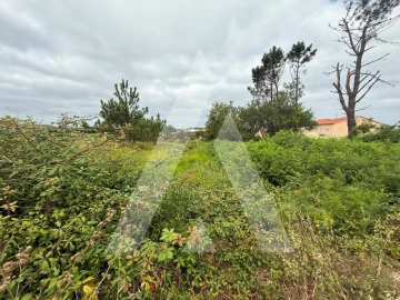 Terreno para Venda em Marinha Grande