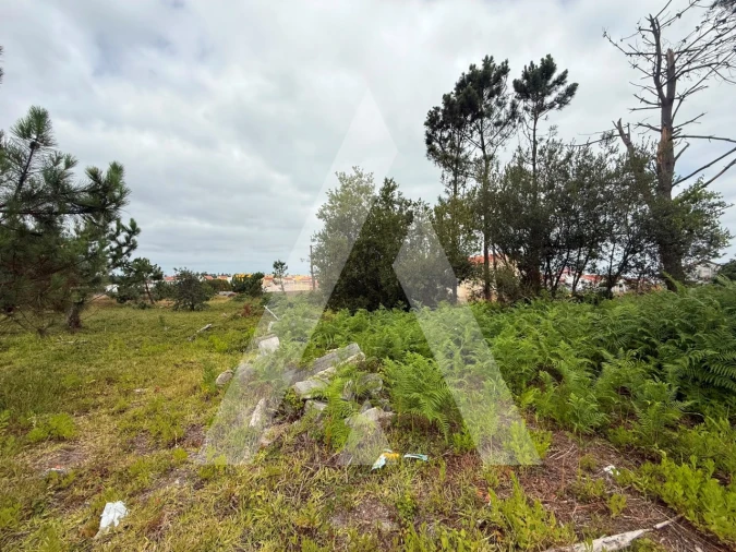 Terreno para Venda em Marinha Grande Foto 10