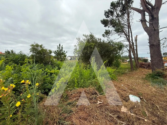 Terreno para Venda em Marinha Grande Foto 13