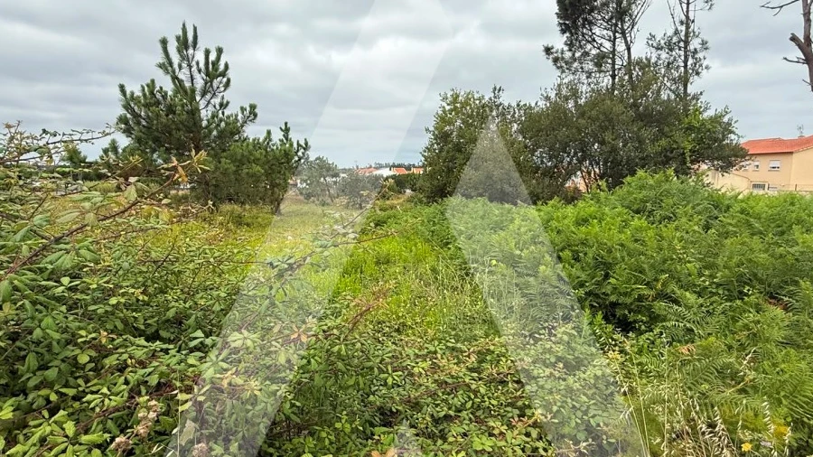 Terreno para Venda em Marinha Grande