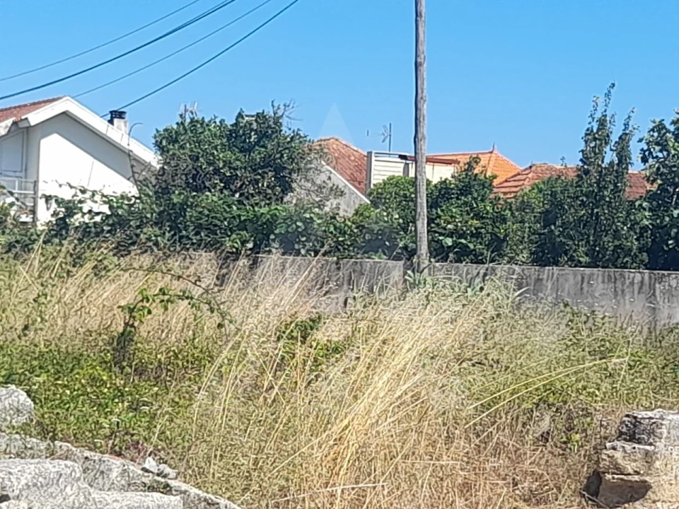 Terreno para Venda em Soza Foto 5