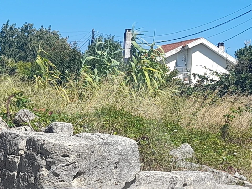 Terreno para Venda em Soza Foto 7