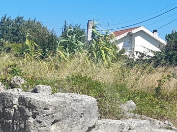 Terreno para Venda em Soza