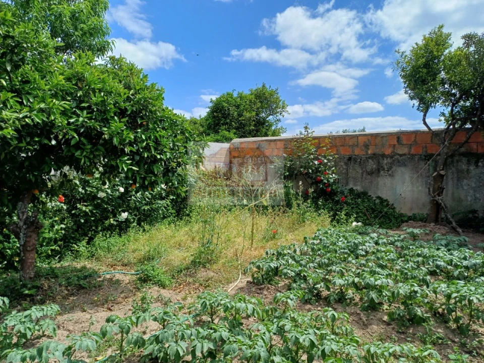 Moradia T1 para Venda em Grândola e Santa Margarida da Serra Foto 14