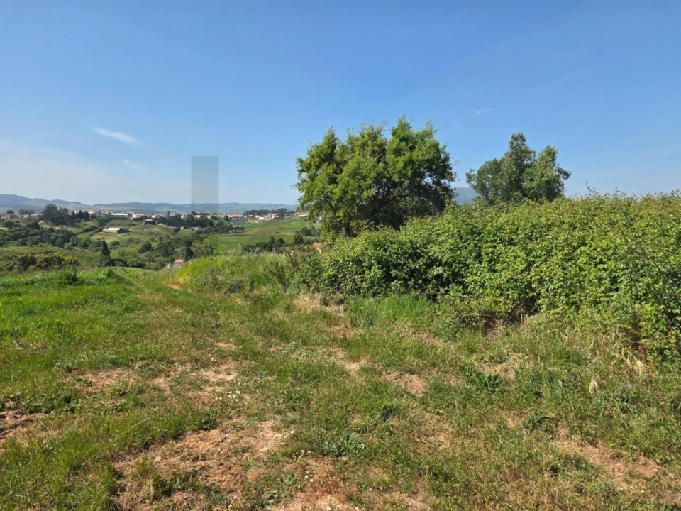 Terreno para Venda em Olhalvo Foto 11