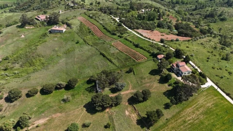Terreno para Venda em Olhalvo
