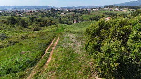 Terreno para Venda em Olhalvo
