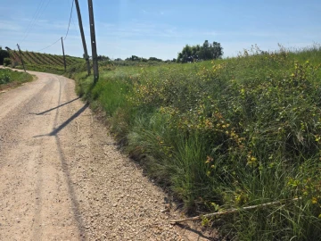 Terreno para Venda em Olhalvo