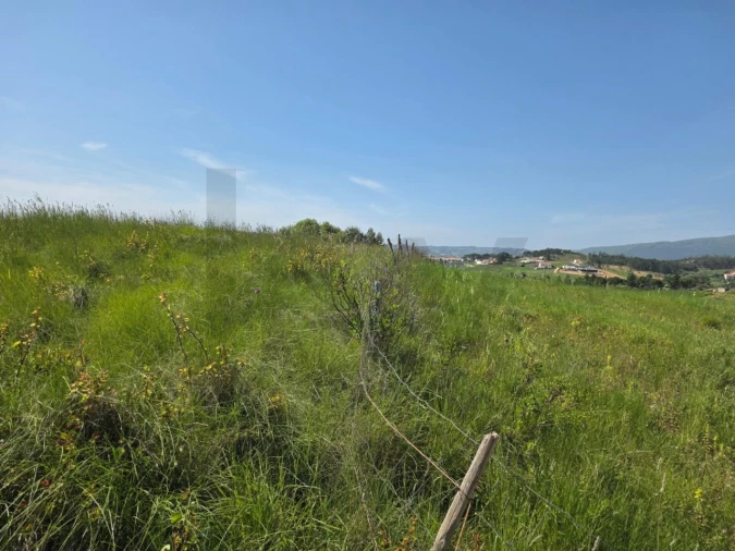 Terreno para Venda em Olhalvo Foto 14