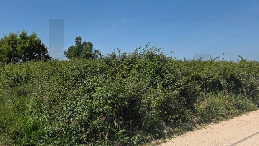 Terreno para Venda em Olhalvo