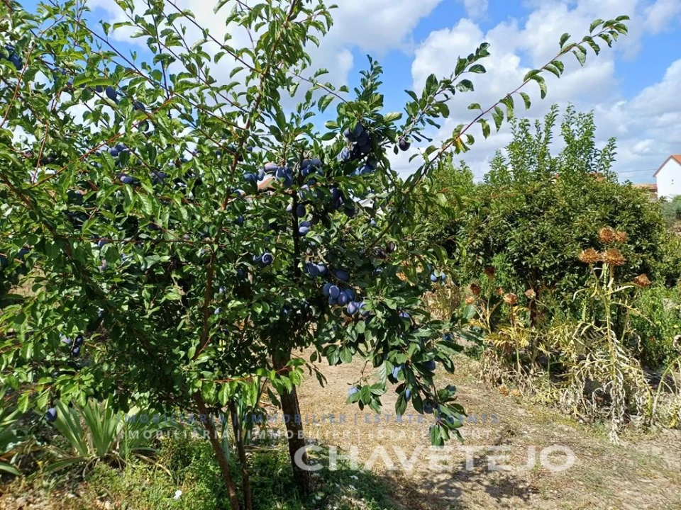 Moradia T2 para Venda em Castelo Foto 37