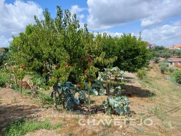 Moradia T2 para Venda em Castelo