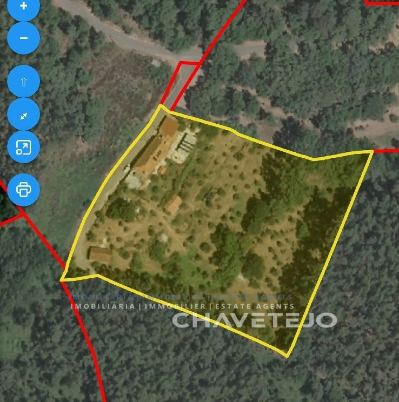 Quinta T1 para Venda em Ferreira do Zezere Foto 8