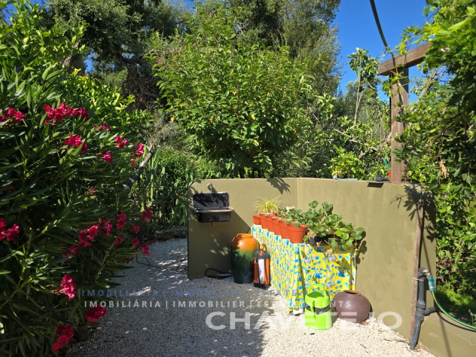 Quinta T1 para Venda em Ferreira do Zezere Foto 53