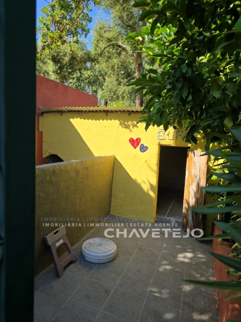 Quinta T1 para Venda em Ferreira do Zezere
