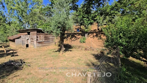 Quinta T1 para Venda em Ferreira do Zezere