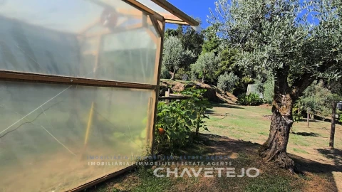 Quinta T1 para Venda em Ferreira do Zezere