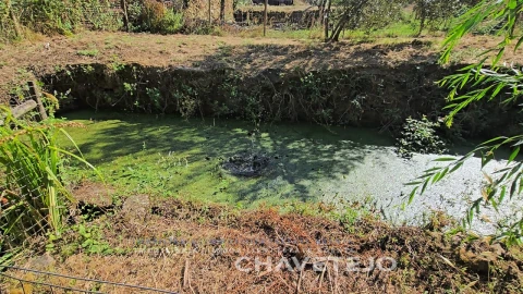 Quinta T1 para Venda em Ferreira do Zezere