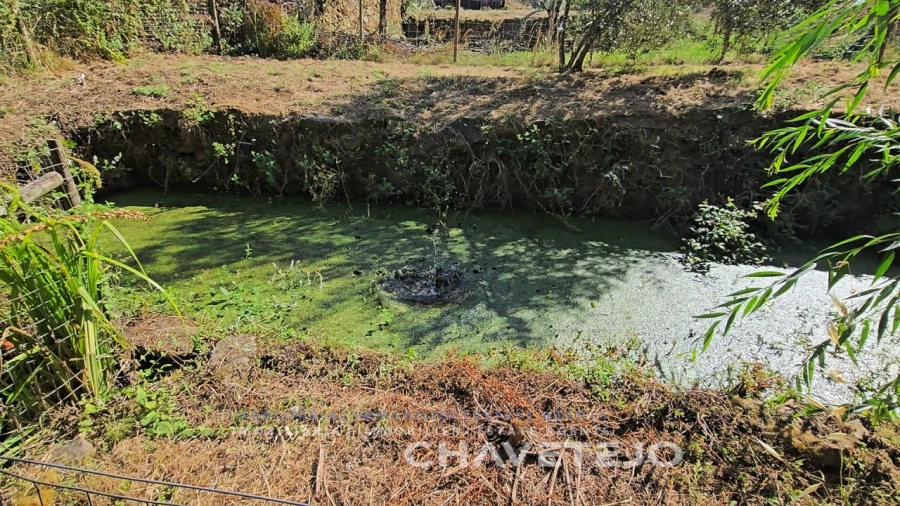 Quinta T1 para Venda em Ferreira do Zezere Foto 74