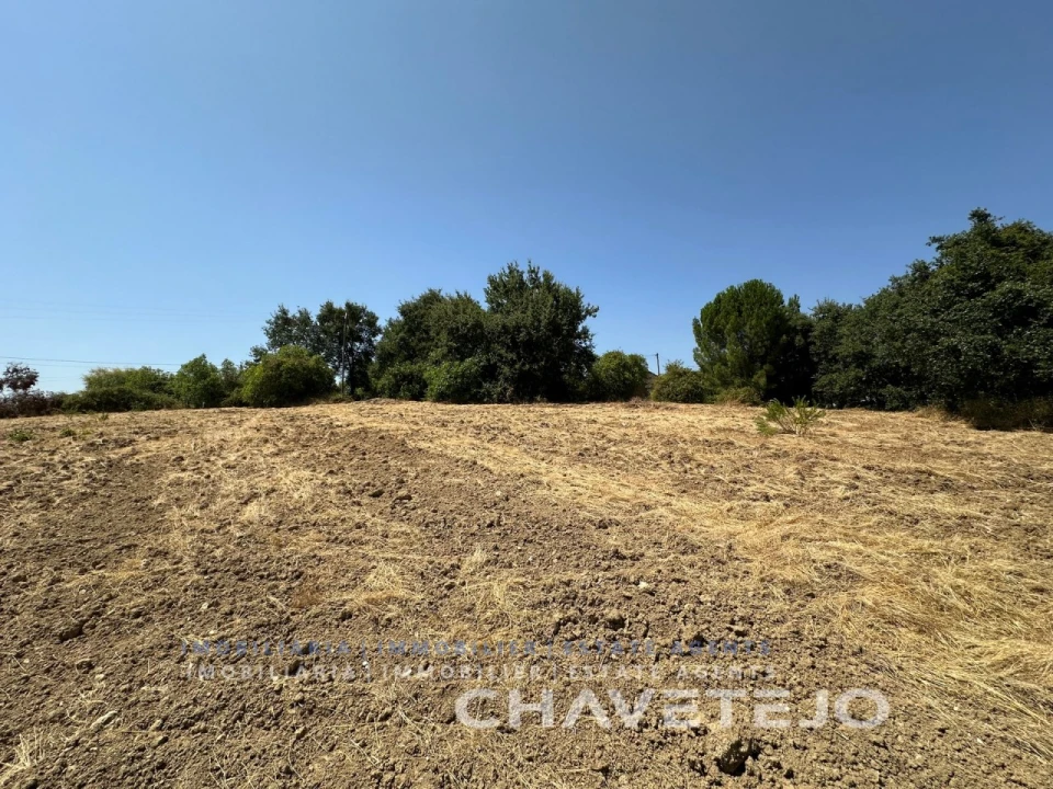 Moradia T3 para Venda em São Pedro de Tomar Foto 12