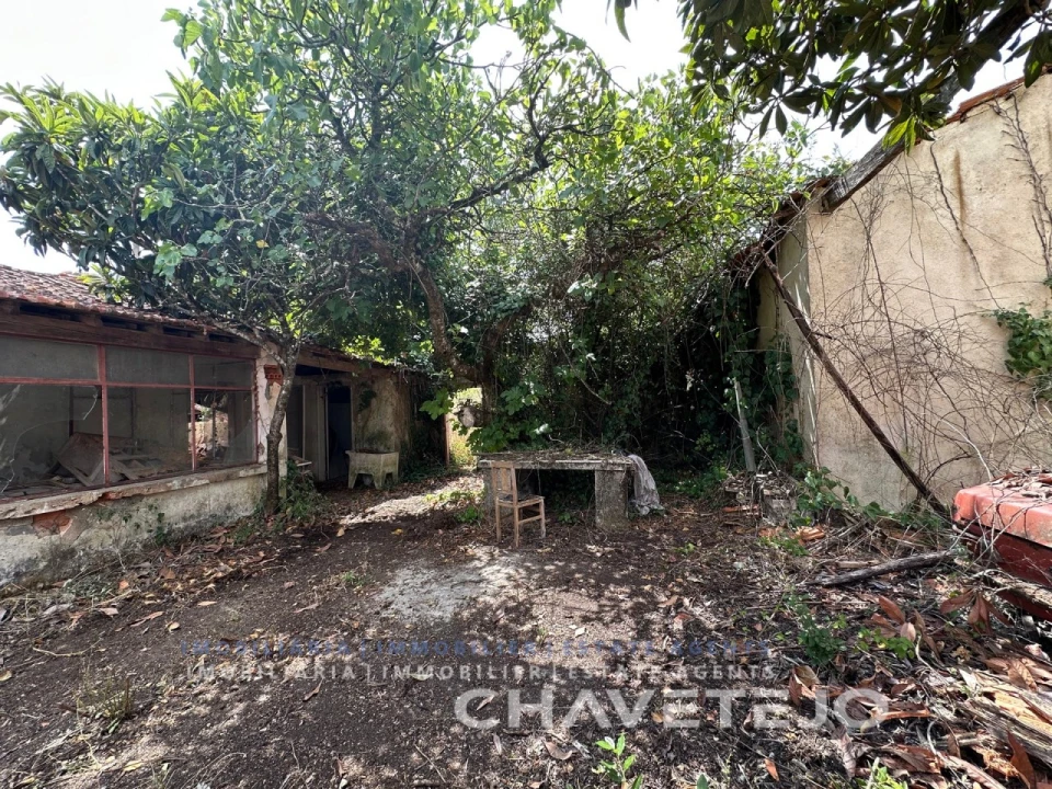Moradia T3 para Venda em São Pedro de Tomar Foto 18
