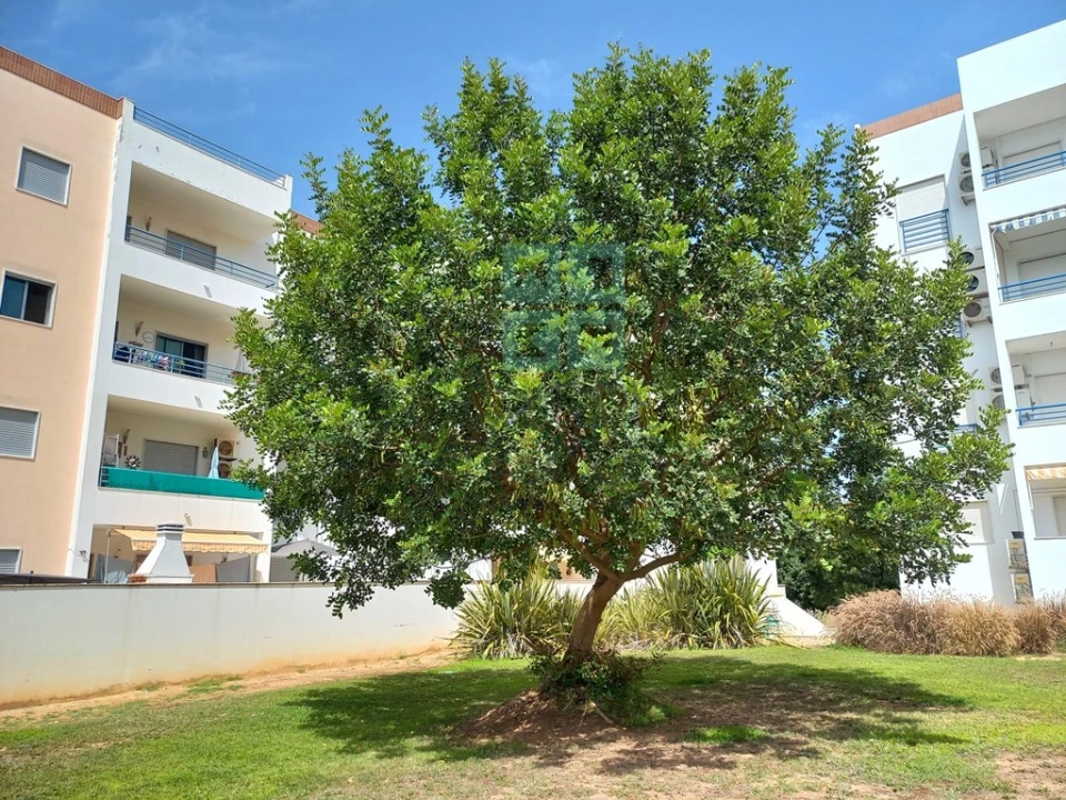 Terreno para Venda em Tavira (Santa Maria e Santiago) Foto 1
