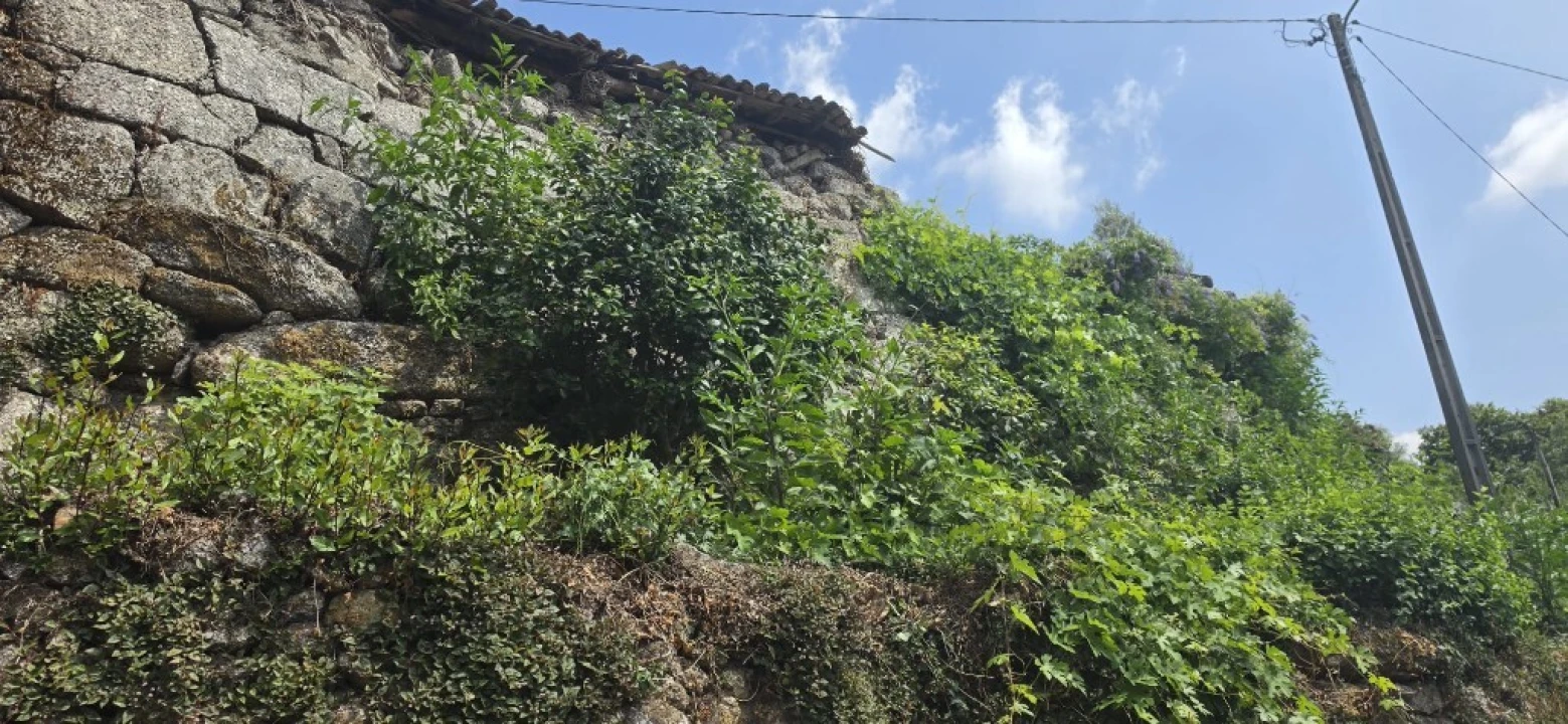 Moradia para Venda em Pinheiro Foto 10