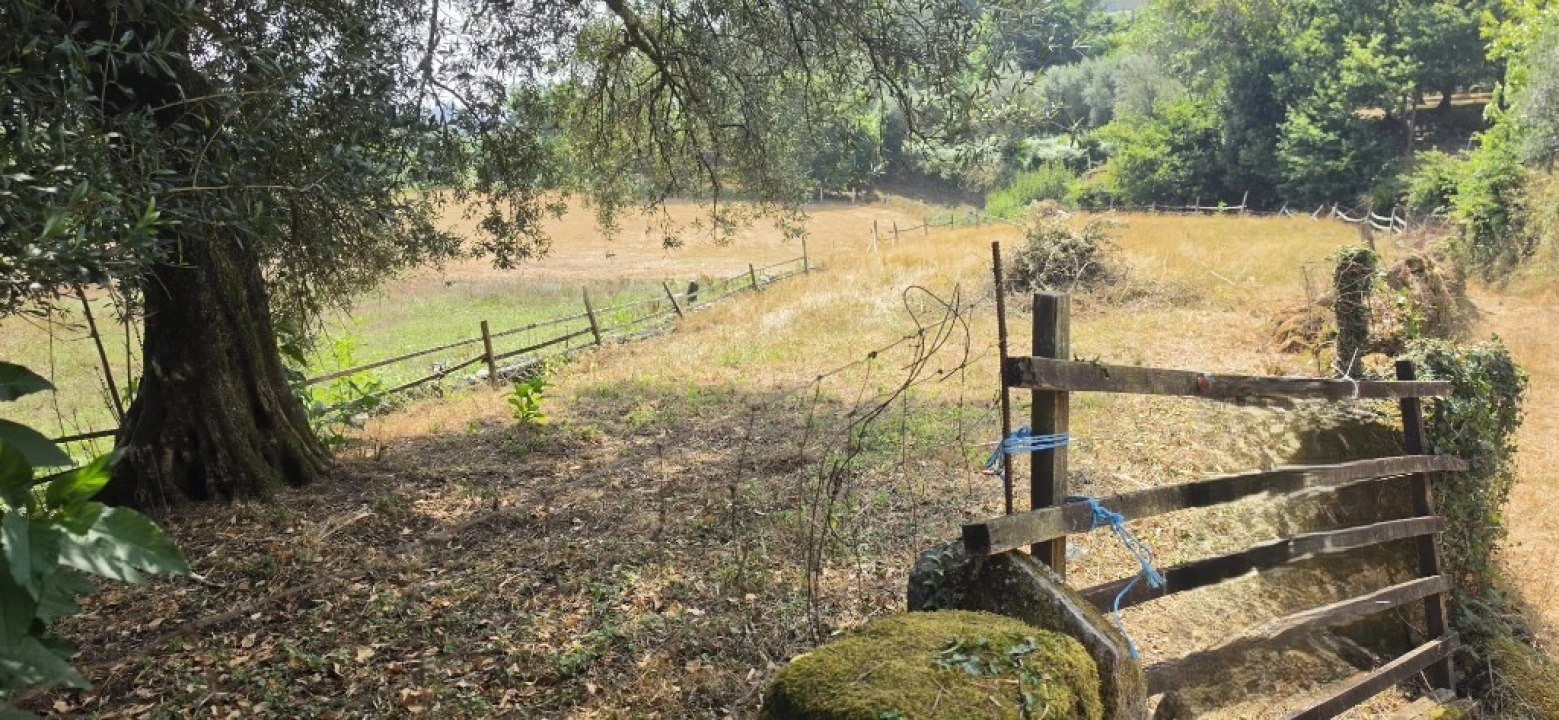 Moradia para Venda em Pinheiro Foto 4