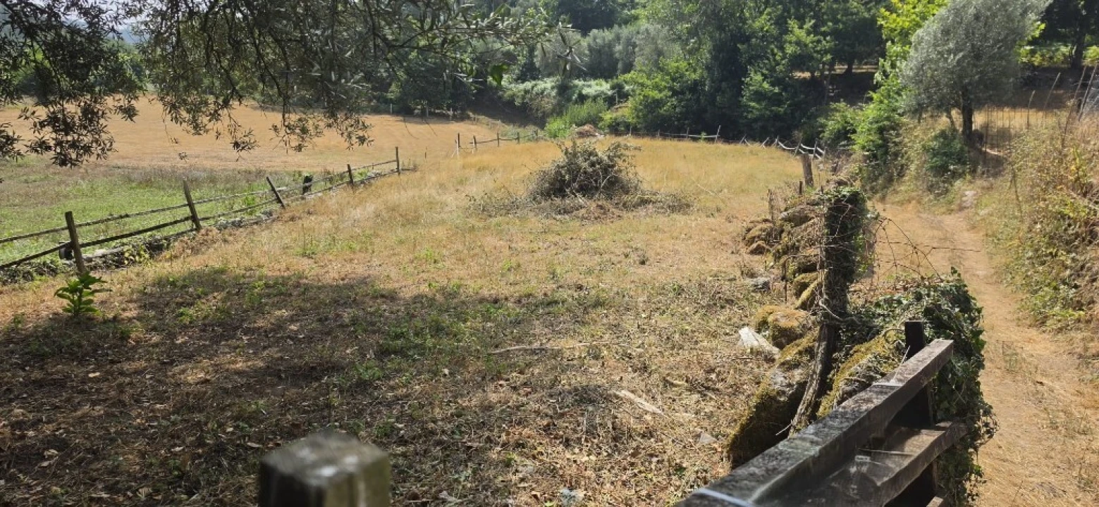 Moradia para Venda em Pinheiro Foto 5