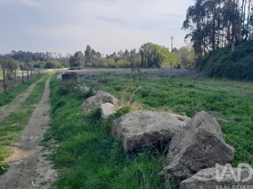 Terreno para Venda em Requião