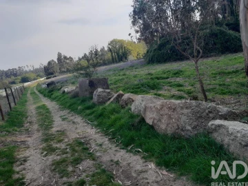Terreno para Venda em Requião