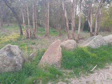 Terreno para Venda em Requião