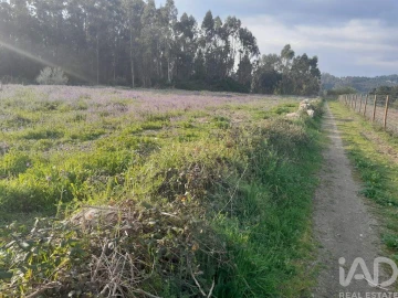 Terreno para Venda em Requião