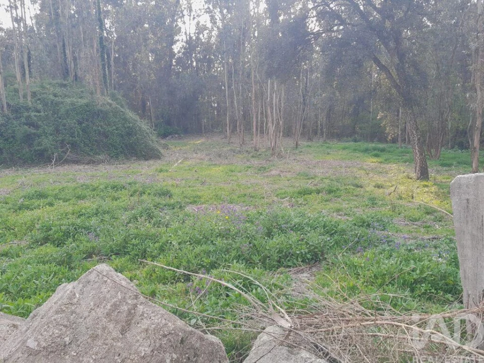 Terreno para Venda em Requião Foto 2