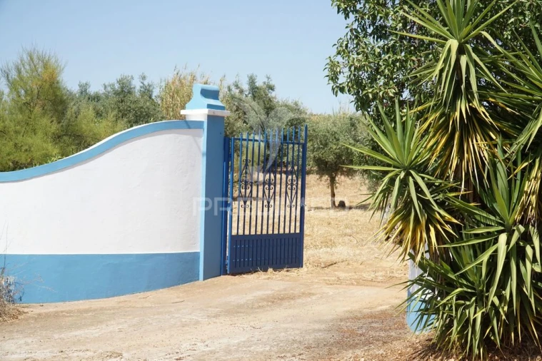 Quinta T2 para Venda em Terrugem e Vila Boim Foto 3