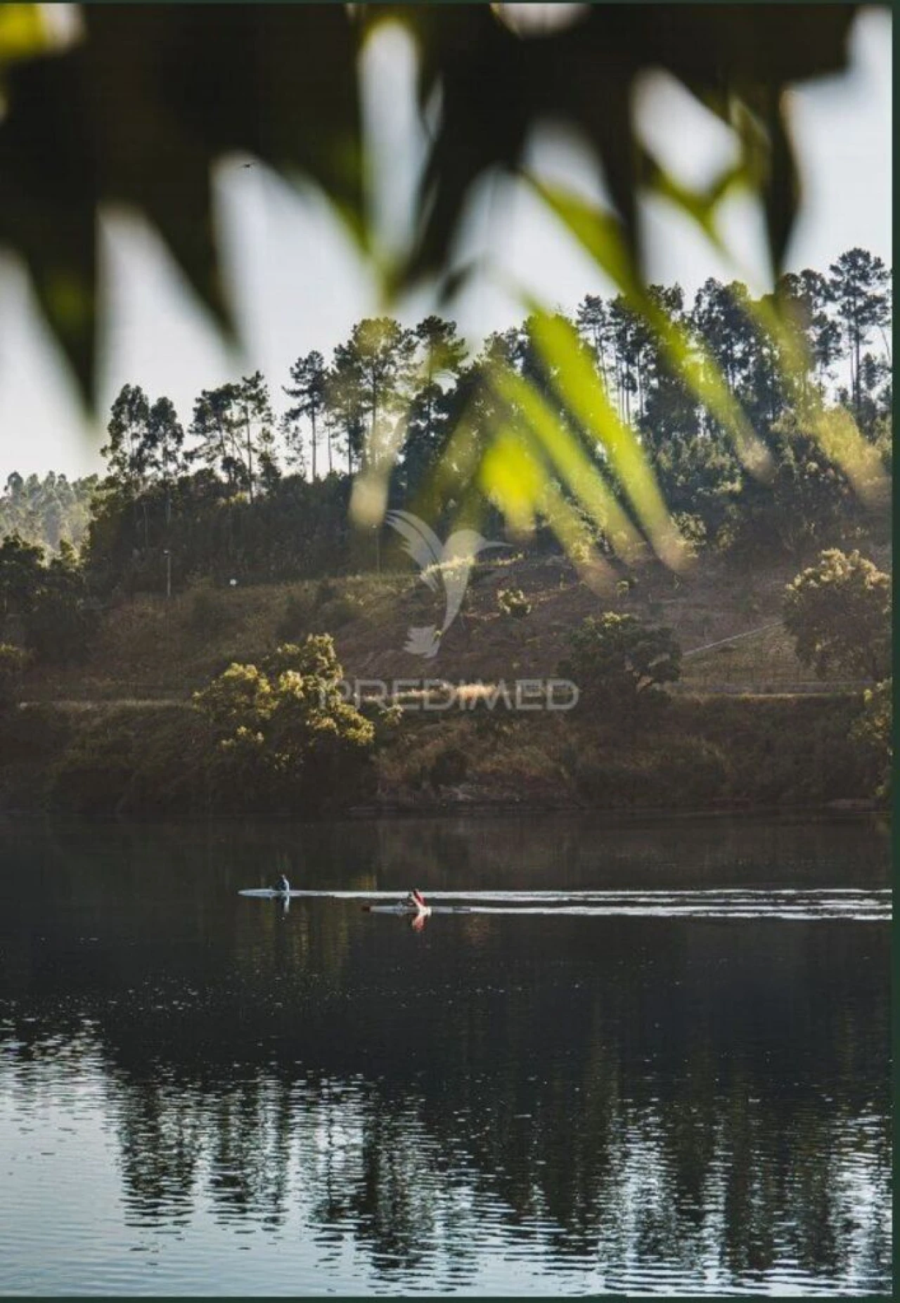 Terreno para Venda em Sandim, Olival, Lever e Crestuma Foto 9