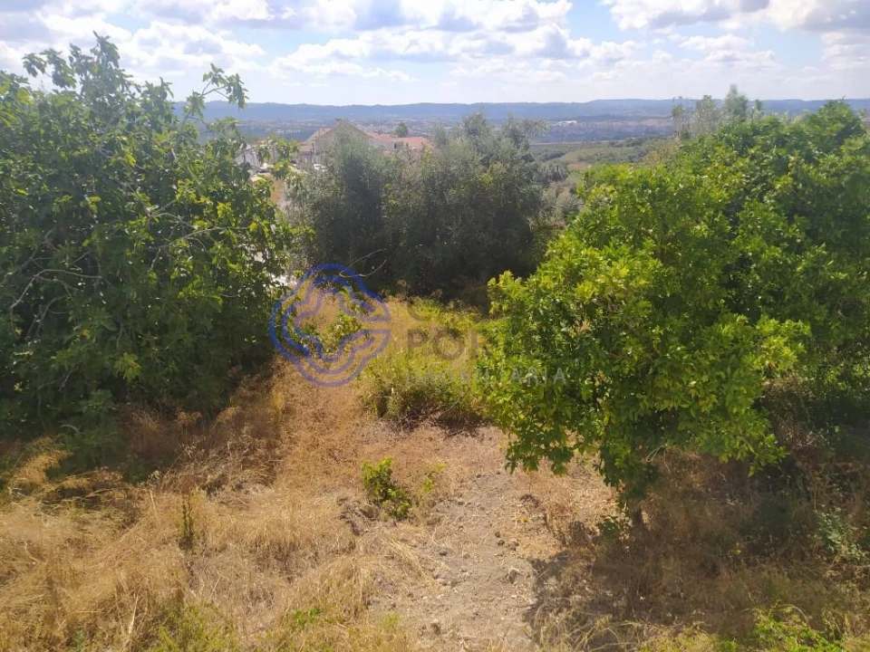 Terreno para Venda em Carregueiros Foto 6