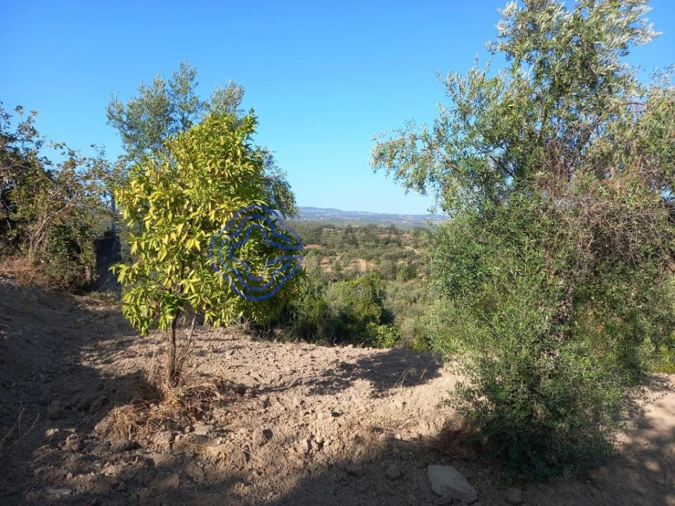 Terreno para Venda em Carregueiros Foto 2