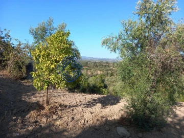 Terreno para Venda em Carregueiros