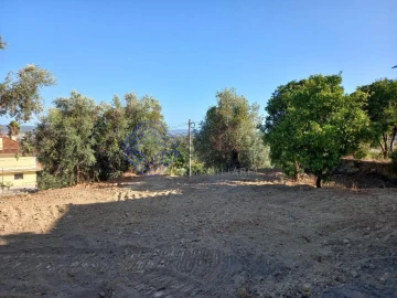 Terreno para Venda em Carregueiros