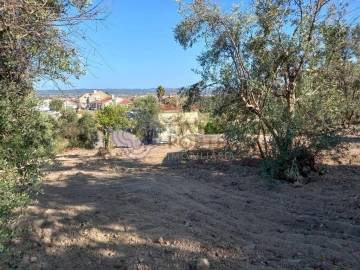 Terreno para Venda em Carregueiros