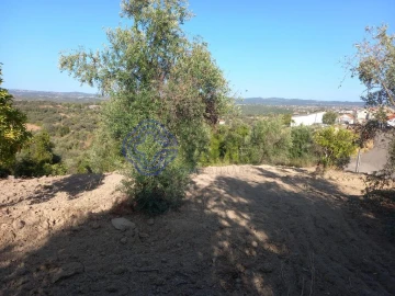 Terreno para Venda em Carregueiros